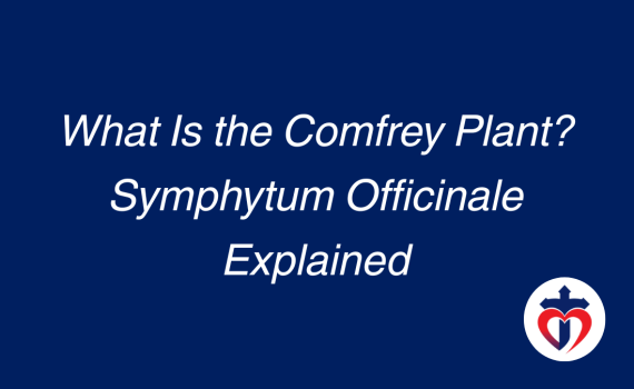 Featured image for the blog “What Is the Comfrey Plant? Symphytum officinale Explained” with the Miracle Comfrey logo